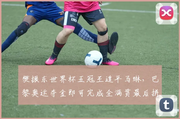 樊振东世界杯五冠王追平马琳,巴黎奥运夺金即可完成全满贯最后拼图?